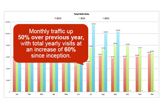 Monthly Web Traffic Up